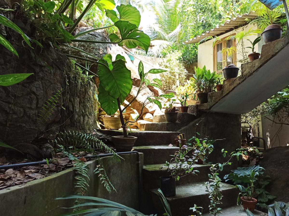 Butterfly Jewel Bed and Breakfast Unawatuna Exteriör bild