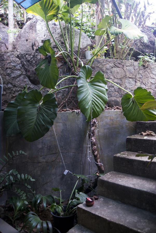 Butterfly Jewel Bed and Breakfast Unawatuna Exteriör bild